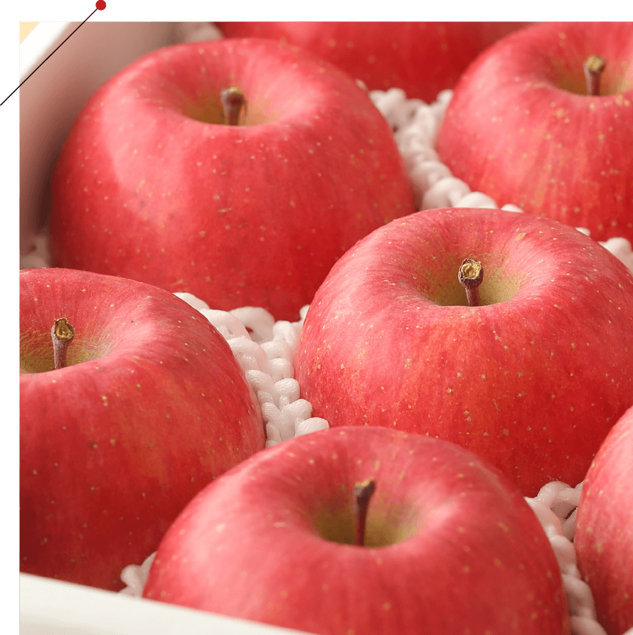 りんご「ふじ」