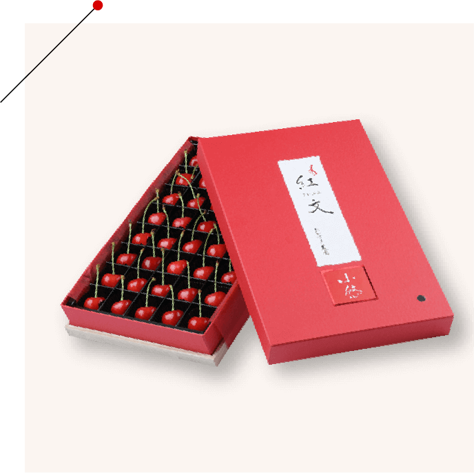 佐藤錦「小悠」