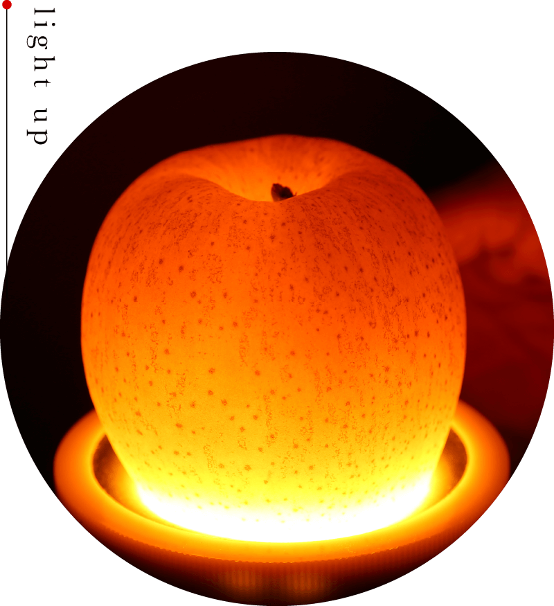 りんご「はるか」