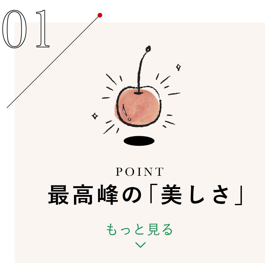 最高峰の「美しさ」